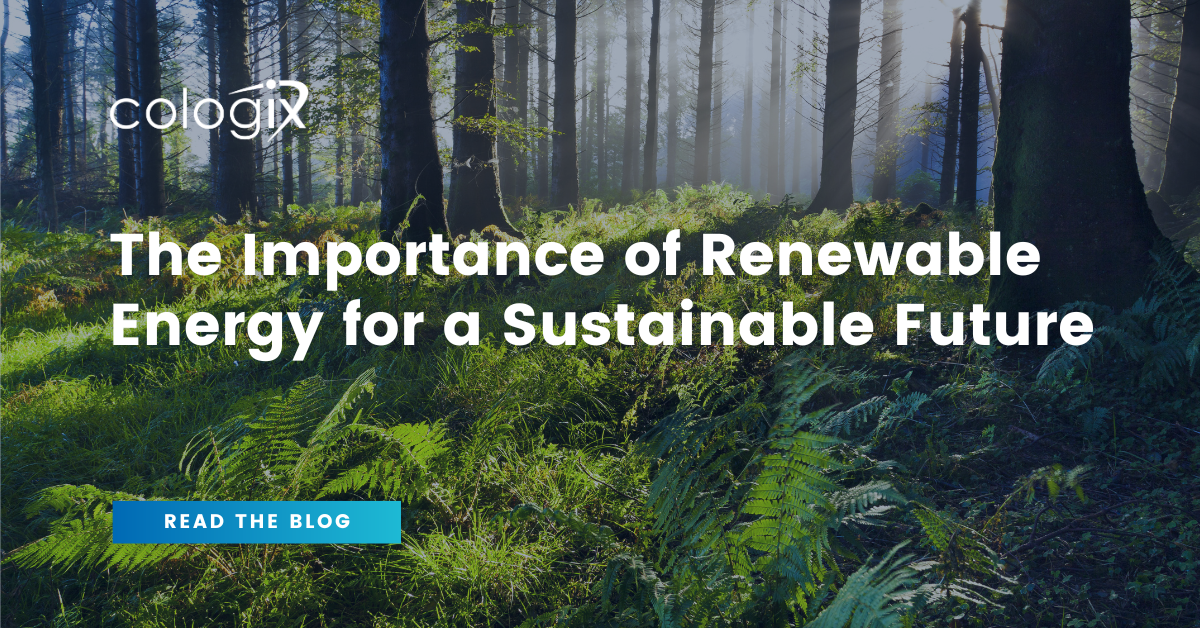 The Importance of Renewable Energy for a Sustainable Future - Cologix