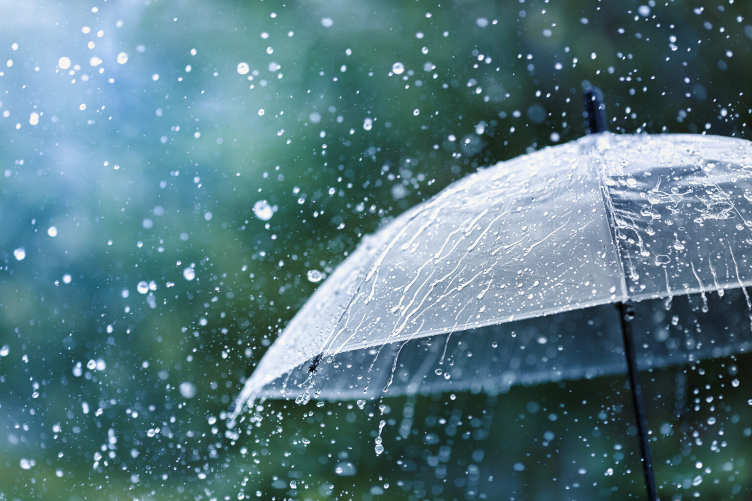 What is a Meet-Me-Room? A Space for Interconnection | Cologix